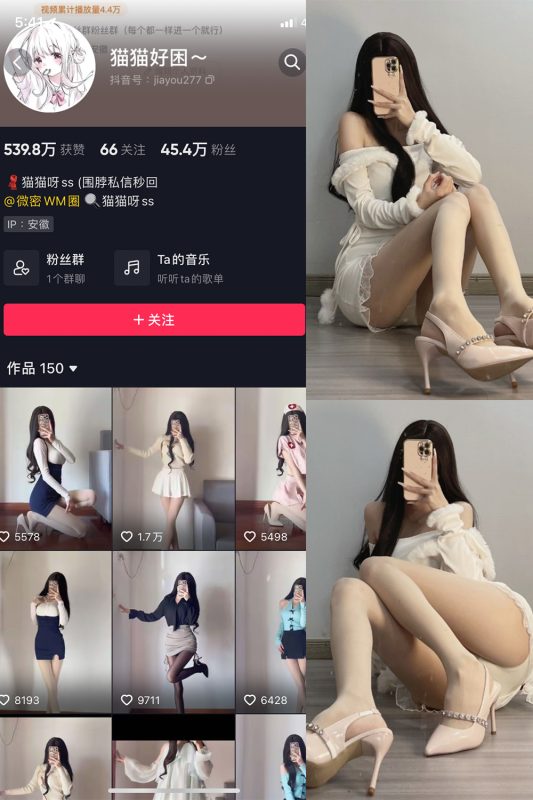 抖音 猫猫好困 微密圈  NO.030期 【81P】最新至：2024.4.29-微密空间-密资库